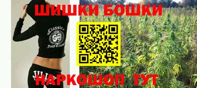 a pvp Славгород